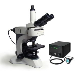 POLYSCIENCES直立荧光显微镜