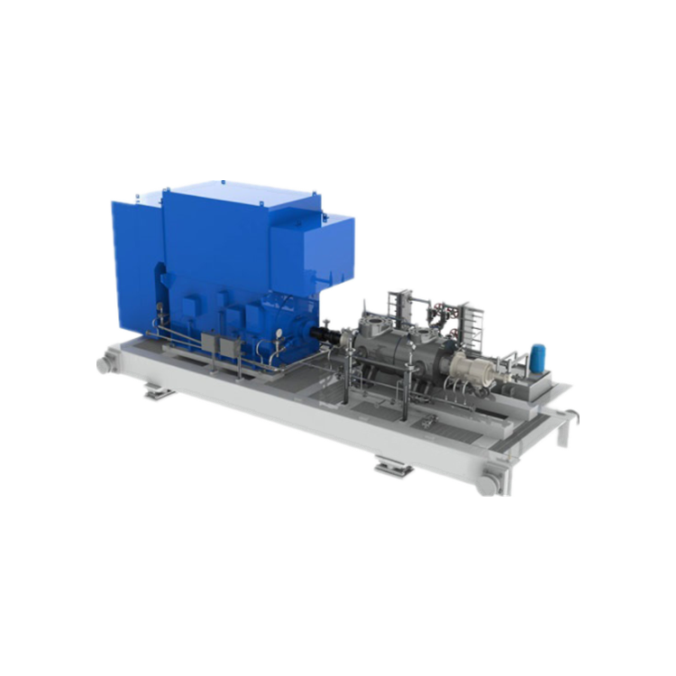 CLYDEUNION多級(jí) API 筒體徑向剖分泵CUP-BB5HP