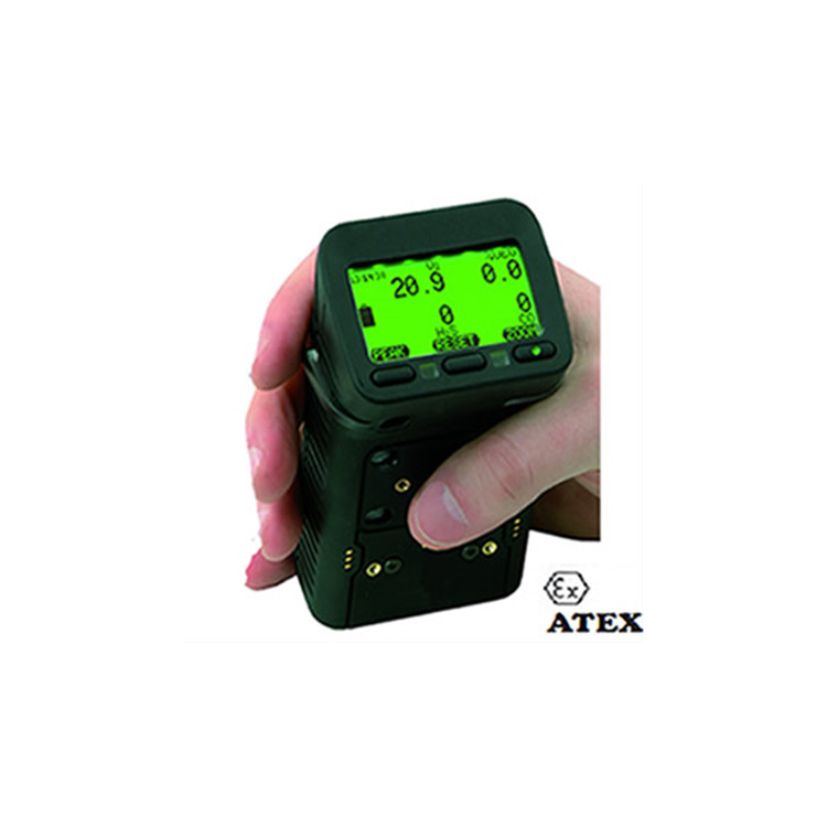 TECNO CONTROL便攜式多氣體監(jiān)測(cè)儀NE700G-G450
